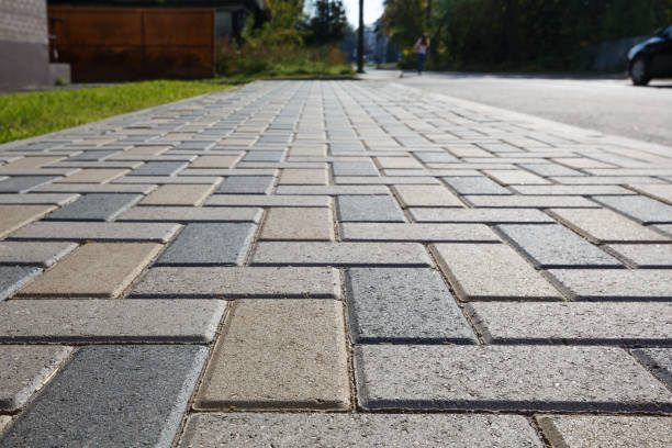 Best Driveway Paving Contractor  in Gateway, AK